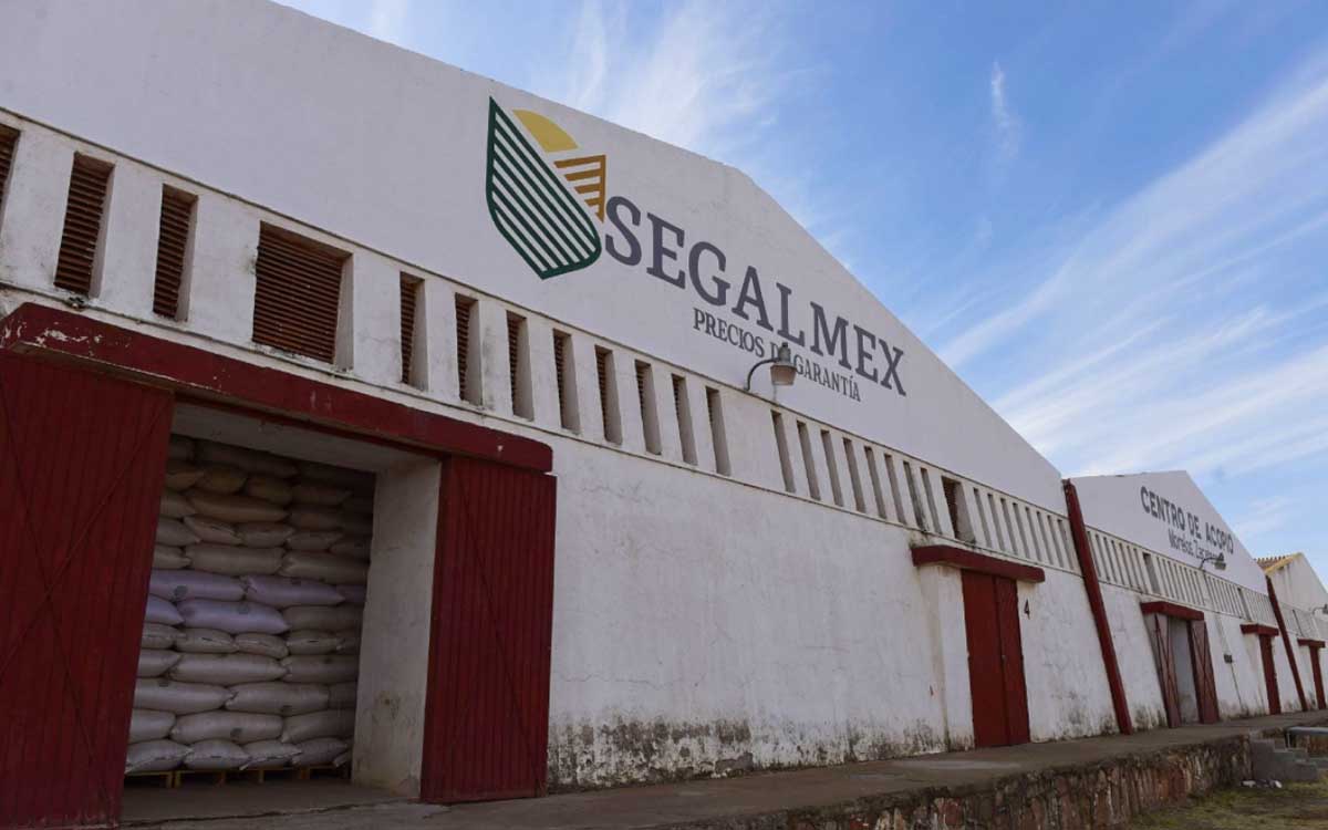 Procesan a exjefe de Diconsa en Guanajuato por caso Segalmex