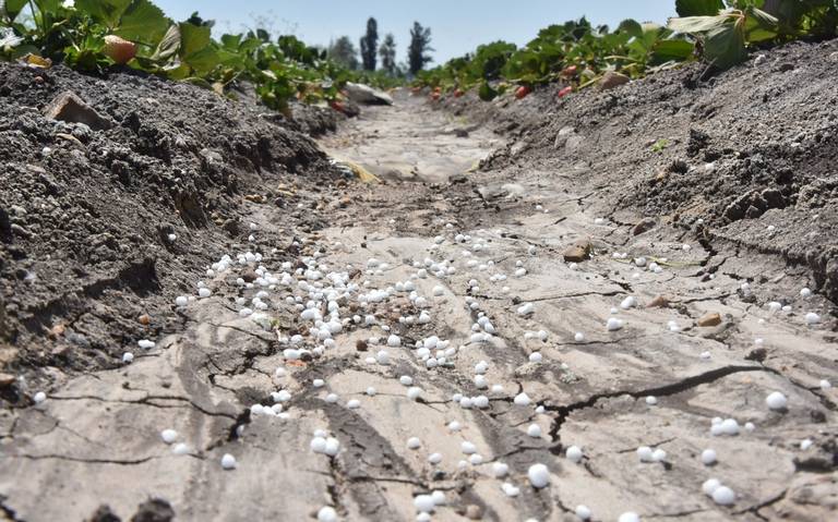 Guanajuato destina mil millones de pesos para combatir la sequía: El gobernador Diego Sinhue Rodríguez Vallejo anuncia medidas integrales para enfrentar la crisis hídrica