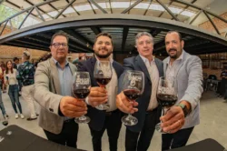 Guanajuato: En busca de un nuevo récord mundial con la copa de vino más grande del mundo