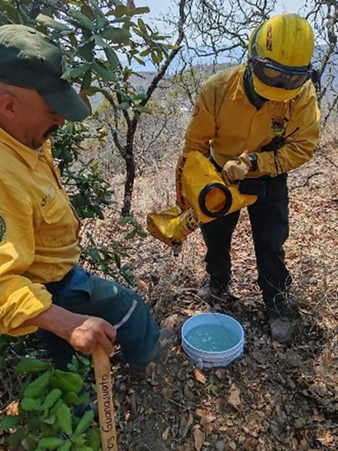 Bomberos de Guanajuato en la lucha contra incendios forestales