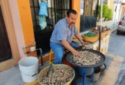 Cacahuates y garbanzos asados: la especialidad de don Juan en Salamanca