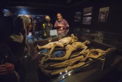 Descubre la emoción nocturna en el museo de las momias de Guanajuato