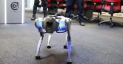 Perro robot en Guanajuato: innovación en la industria y tecnología 2024