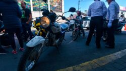 propuesta para combatir moto ratones en Guanajuato