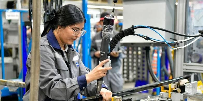 Inversiones Guanajuato empleos 2025