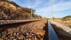 Tren pasajeros polos desarrollo