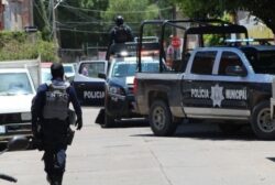 Desmantelamiento centros criminales León