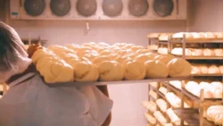 generando empleo en León