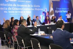 Alerta de género Guanajuato