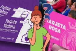 Tarjeta Rosa y Tarjeta Violeta