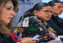 Grupo Interinstitucional Guanajuato violencia género