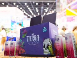 Consumir Marca Guanajuato Buen Fin