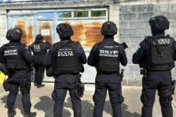 Decomisos millonarios crimen Guanajuato