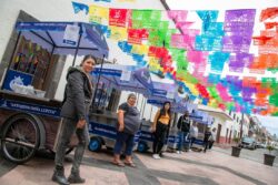 Mi Tienda al 100 Guanajuato