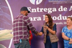 Apoyos productores maíz Guanajuato