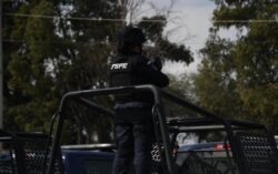 Detenciones en Guanajuato 2025