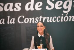 seguridad en Irapuato