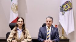 investigar delincuencia organizada